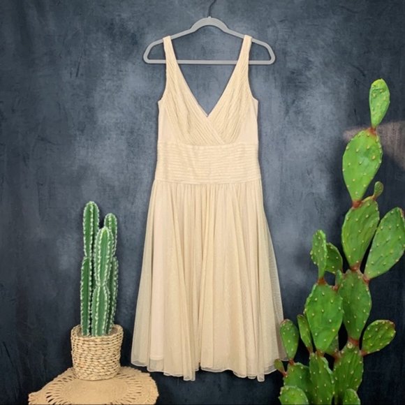 CLEARANCE Tadashi Shoji Gold Chiffon Tulle Dress